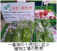 植物工場の野菜