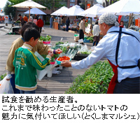 トマトの試食