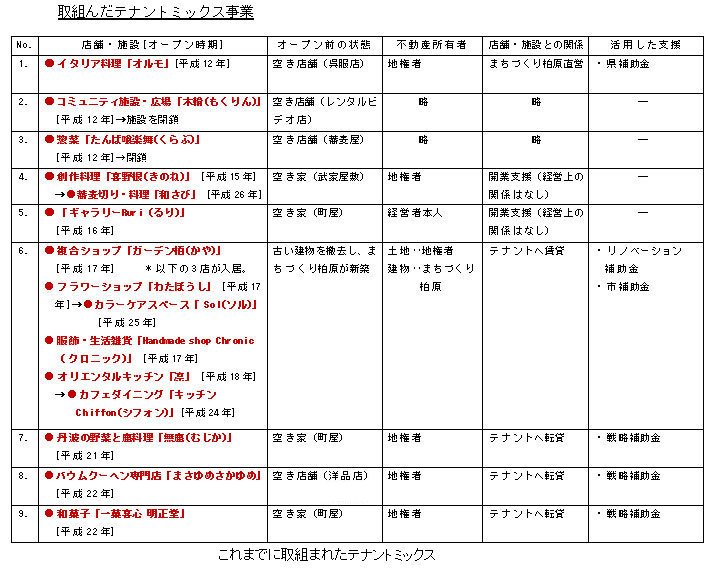 取組んだテナントミックス事業