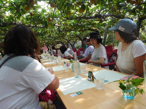 燕三条「畑の朝カフェ」風景