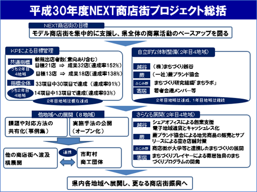 （平成30年度NEXT商店街プロジェクト総括）