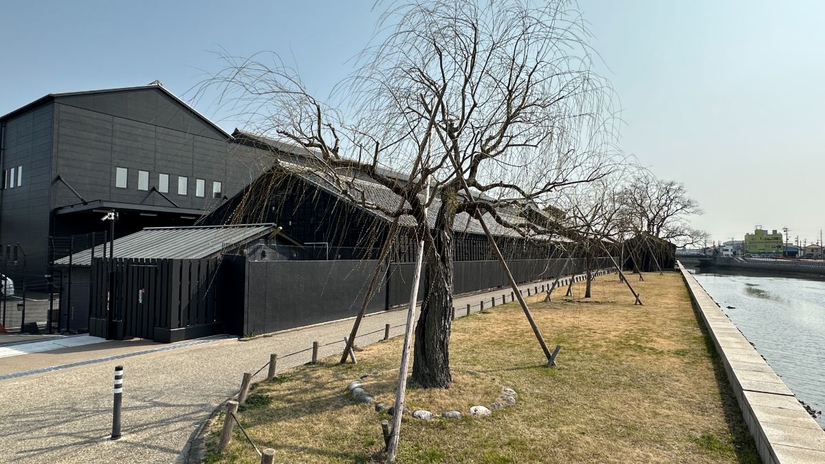 蔵のまちの景観を意識した黒壁建物のある風景その１