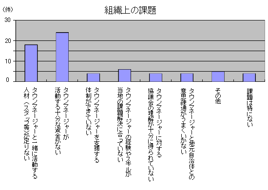 組織上の課題